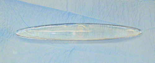 Implante de gemelo fusiforme de silicona